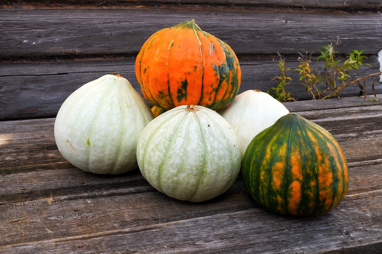 How to Create a Vegetable Patch in Your Backyard